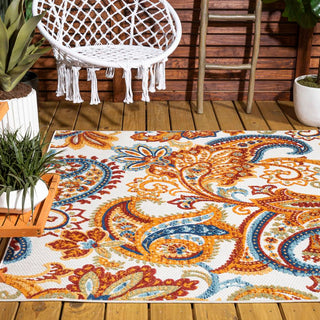 Christchurch Gordes Paisley High-Low Indoor/Outdoor Area Rug