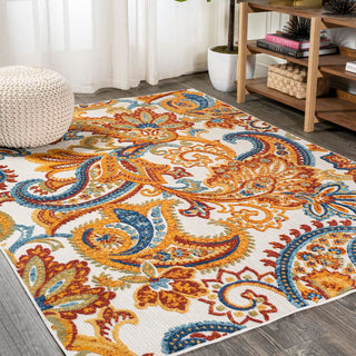 Christchurch Gordes Paisley High-Low Indoor/Outdoor Area Rug