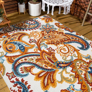 Christchurch Gordes Paisley High-Low Indoor/Outdoor Area Rug