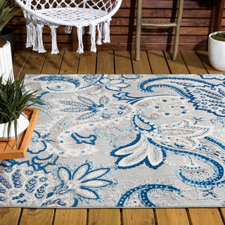 Christchurch Gordes Paisley High-Low Indoor/Outdoor Area Rug