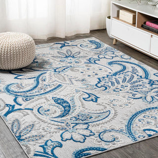 Christchurch Gordes Paisley High-Low Indoor/Outdoor Area Rug