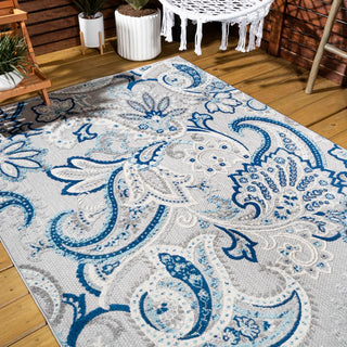 Christchurch Gordes Paisley High-Low Indoor/Outdoor Area Rug