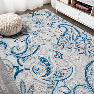 Christchurch Gordes Paisley High-Low Indoor/Outdoor Area Rug