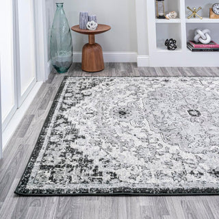 Walter Ornate Boho Medallion Area Rug