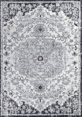 Walter Ornate Boho Medallion Area Rug