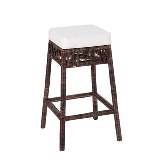 Raywood Rustic Bohemian Hyacinth/Wood Backless Counter Stool