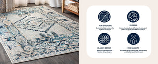 Nova Osuna Diamond Vintage Medallion Area Rug