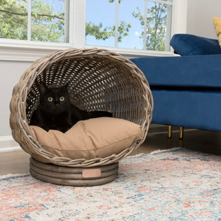 Aqua Cat Bed