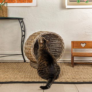 Aqua Cat Bed