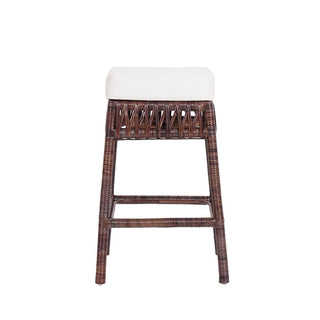 Raywood Rustic Bohemian Hyacinth/Wood Backless Counter Stool