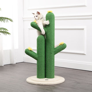 Socorro Cat Scratcher