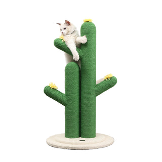 Socorro Cat Scratcher