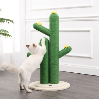 Socorro Cat Scratcher