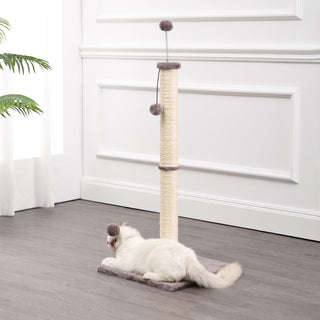 Rylie Cat Scratcher