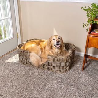 Scallop Dog Bed