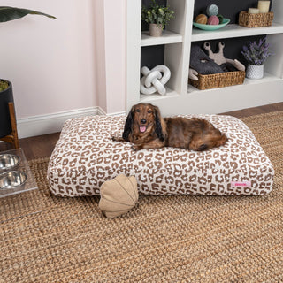 Maya Modern Pet Bed with Washable Cover