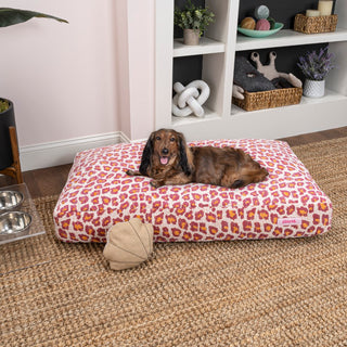 Maya Modern Pet Bed with Washable Cover