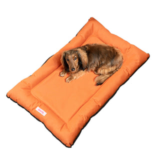 Archie Waterproof Indoor/Outdoor Camping Pet Bed