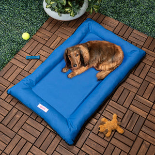 Archie Waterproof Indoor/Outdoor Camping Pet Bed