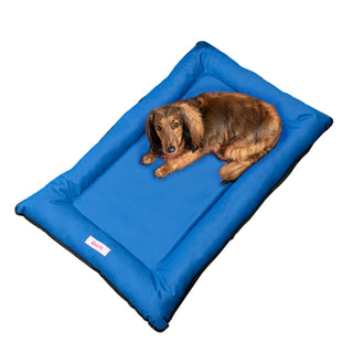 Archie Waterproof Indoor/Outdoor Camping Pet Bed