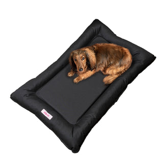 Archie Waterproof Indoor/Outdoor Camping Pet Bed