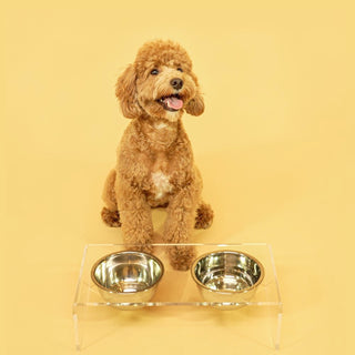 Keaton Dog Bowl