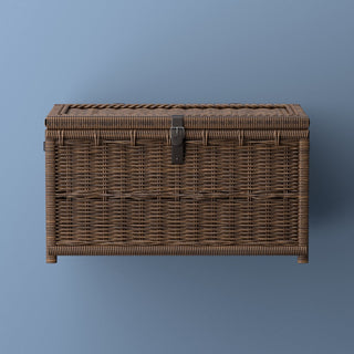 Michael 35" Wicker Storage Trunk