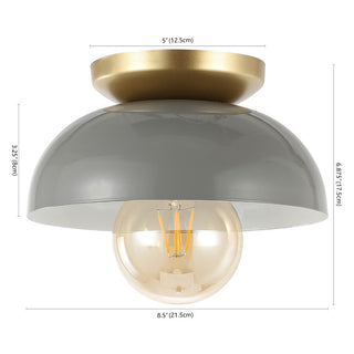 Subtle 8.5" Classic Industrial Iron LED Flush Mount