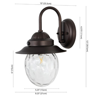 Hurricane 8.25" Farmhouse Industrial Iron/Glass Outdoor LED Sconce