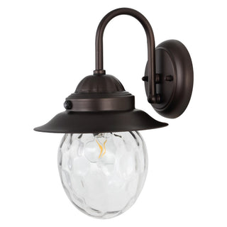 Hurricane 8.25" Farmhouse Industrial Iron/Glass Outdoor LED Sconce