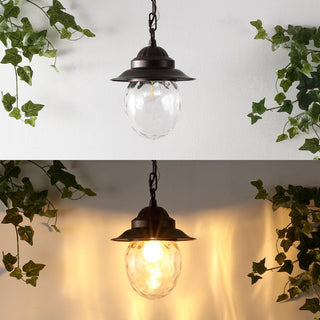 Pure 8.25" Farmhouse Industrial Iron/Glass Outdoor LED Pendant