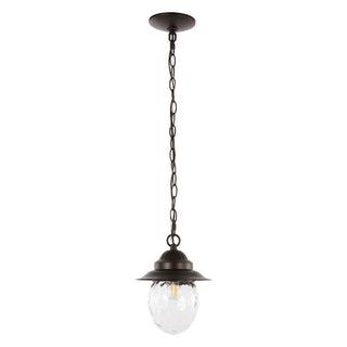 Pure 8.25" Farmhouse Industrial Iron/Glass Outdoor LED Pendant