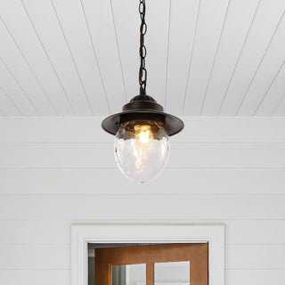 Pure 8.25" Farmhouse Industrial Iron/Glass Outdoor LED Pendant