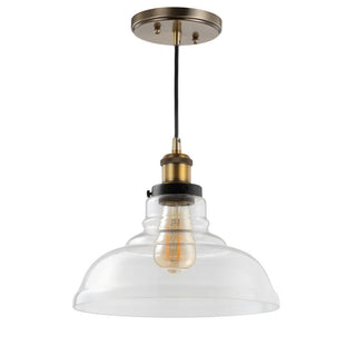 Sam 11" Farmhouse Metal/Glass LED Pendant