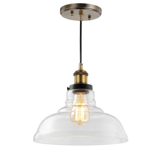 Sam 11" Farmhouse Metal/Glass LED Pendant