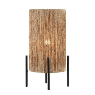 Wall 16.5" Coastal Minimalist Rattan LED Table Lamp