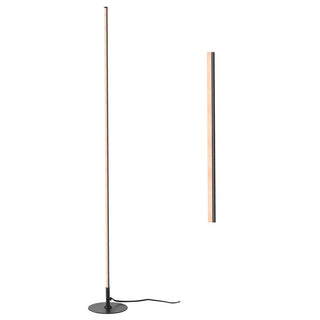 Rhine 59.5" LED Integrated Floor Lamp