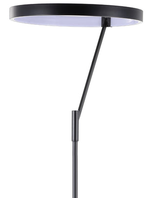 Zayanab 66.7" Integrated LED Metal Floor Lamp