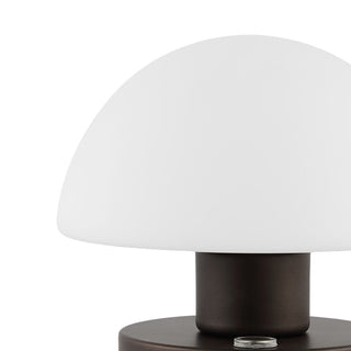 Modern mushroom  5.75" Bohemian Farmhouse Iron Rechargeable Integrated LED Table Lamp