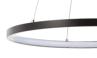 Mary Modern Contemporary Iron Integrated LED Pendant