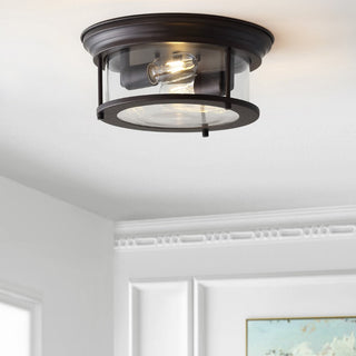 Forrest 13.25" Metal/Glass LED Flush Mount