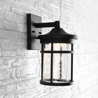 Turtle Outdoor Wall Lantern Crackled Glass/Metal Integrated LED Sconce