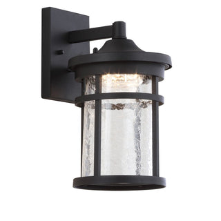 Turtle Outdoor Wall Lantern Crackled Glass/Metal Integrated LED Sconce