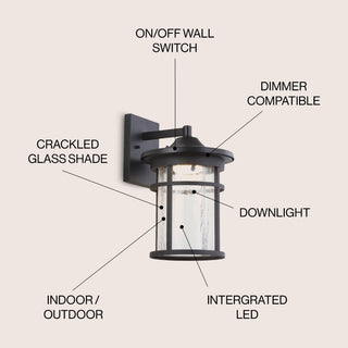 Turtle Outdoor Wall Lantern Crackled Glass/Metal Integrated LED Sconce