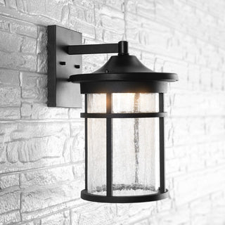 Turtle Outdoor Wall Lantern Crackled Glass/Metal Integrated LED Sconce