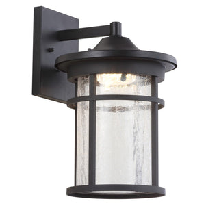 Turtle Outdoor Wall Lantern Crackled Glass/Metal Integrated LED Sconce