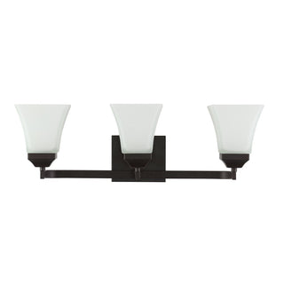 Wetherell Iron/Glass Modern Cottage LED Vanity Light