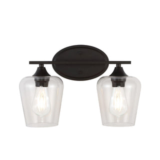 Damon Iron/Glass Cottage Rustic LED Vanity Light