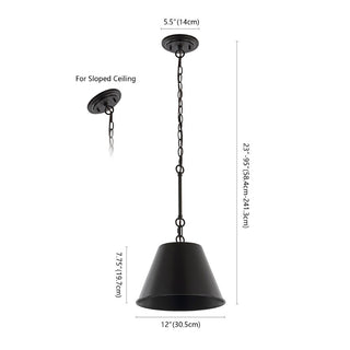 Alden Industrial Farmhouse Iron LED Pendant