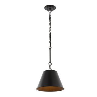 Alden Industrial Farmhouse Iron LED Pendant